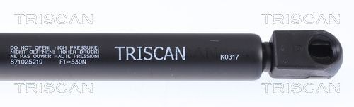 Упругий элемент, крышка багажника / помещения для груза 871025219 TRISCAN