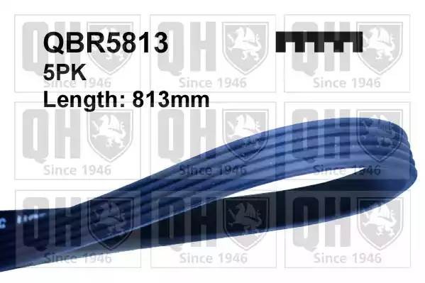 Поликлиновой ремень QBR5813 QUINTON HAZELL