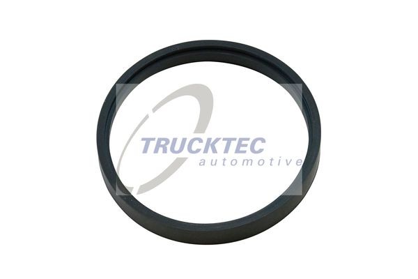 Кольцо уплотнительное 01.13.069 TRUCKTEC