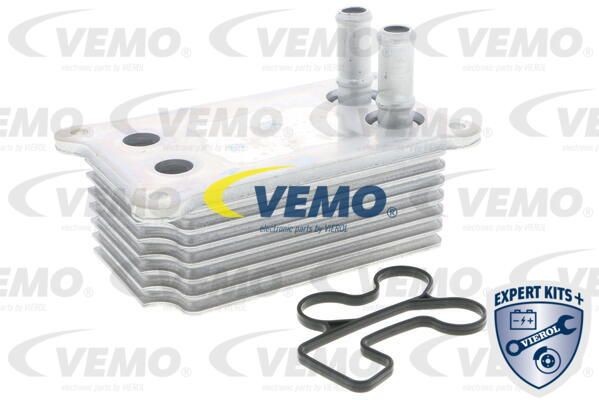 Расходомер воздуха V25721016 VEMO