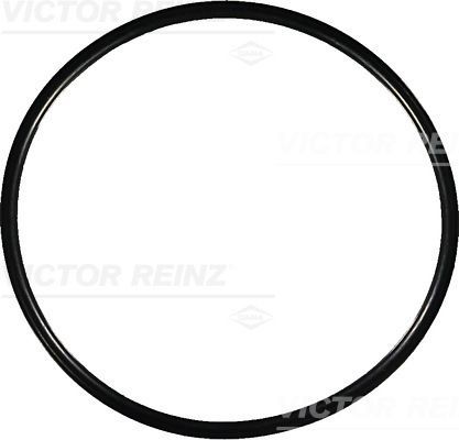 Уплотняющее кольцо 40-76964-00 VICTOR REINZ