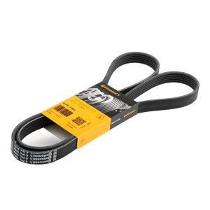 Поликлиновой ремень 6-PK-1564 CONTITECH