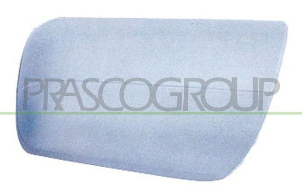 Покрытие, внешнее зеркало ME0257413 PRASCO GROUP