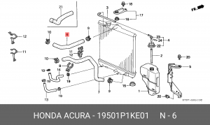 Шланг радиатора 19501P1KE01 HONDA