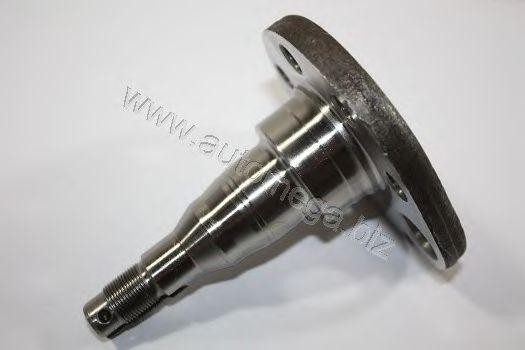 Ступица колеса 105010117333A AUTOMEGA