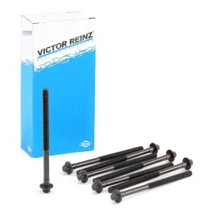 Комплект болтов головки цилидра 14-32043-01 VICTOR REINZ
