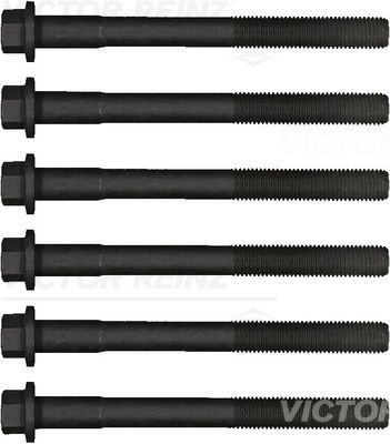 Комплект болтов головки цилидра 14-32284-01 VICTOR REINZ