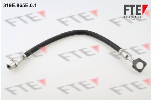 Тормозной шланг 319E865E01 FTE