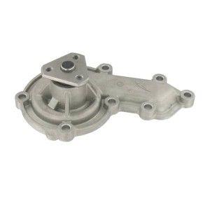 Водяной насос VKPC87850 SKF
