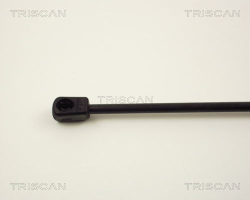 Упругий элемент, крышка багажника / помещения для груза 87103810 TRISCAN