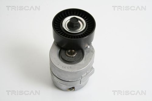 Поликлиновой ремень 8640501113 TRISCAN