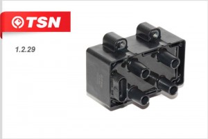 Катушка зажигания 1229 TSN