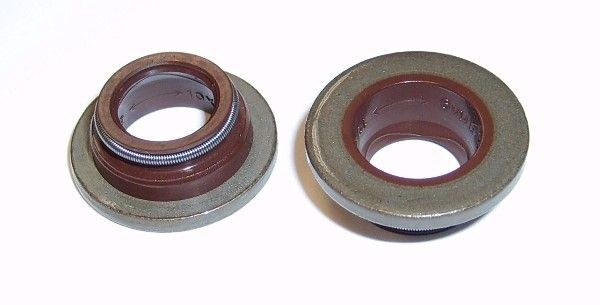 Уплотняющее кольцо 599.255 ELRING