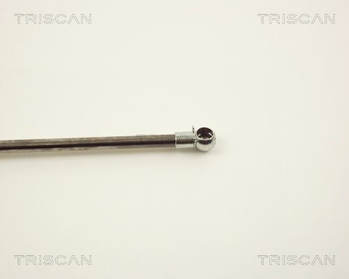 Упругий элемент, крышка багажника / помещения для груза 8710 13241 TRISCAN
