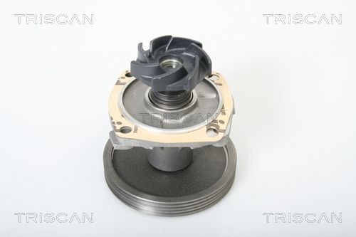 Водяной насос 860015010 TRISCAN