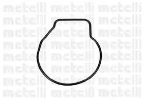 Водяной насос 240669 METELLI