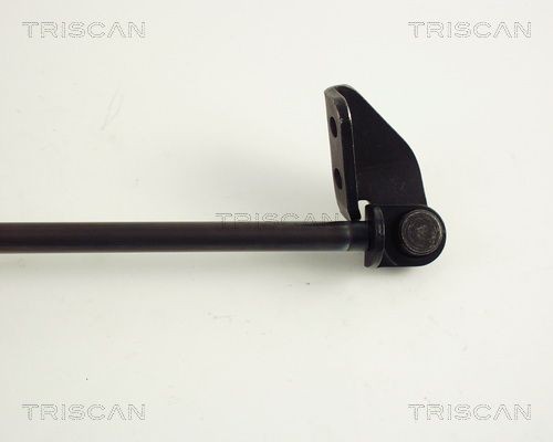 Упругий элемент, крышка багажника / помещения для груза 871042220 TRISCAN