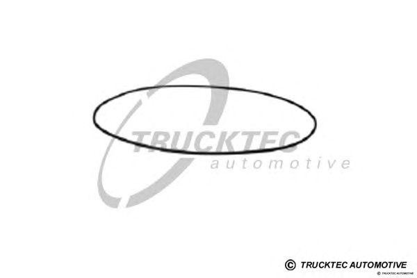 Кольцо уплотнительное 01.67.168 TRUCKTEC