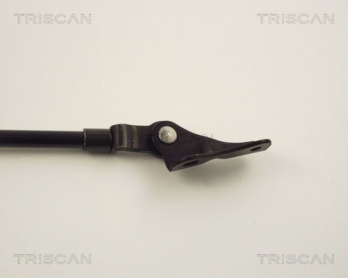 Упругий элемент, крышка багажника / помещения для груза 8710 13262 TRISCAN