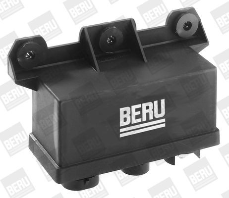 Распылитель DHT017 BERU