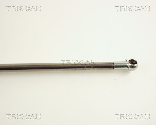 Упругий элемент, крышка багажника / помещения для груза 871050223 TRISCAN