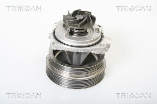 Водяной насос 860015014 TRISCAN