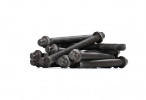 Комплект болтов головки цилидра 08245 FEBI BILSTEIN