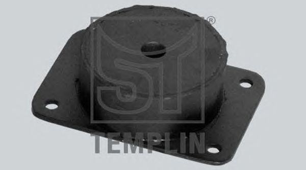 Подвеска, двигатель 083004001560 TEMPLIN