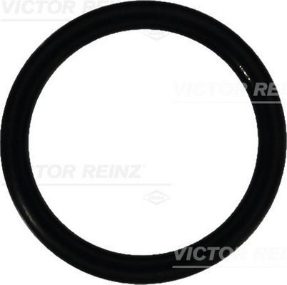 Уплотняющее кольцо 40-76070-00 VICTOR REINZ