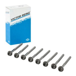 Комплект болтов головки цилидра 14-32120-02 VICTOR REINZ