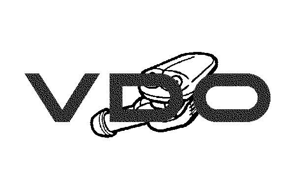 Распылитель воды для чистки, система очистки окон 246-069-038-001Z VDO