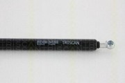 Упругий элемент, крышка багажника / помещения для груза 8710 25221 TRISCAN