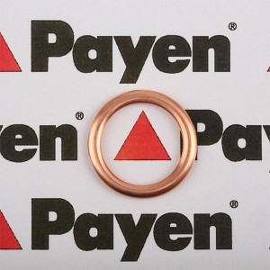 Уплотнительное кольцо, резьбовая пр PA349 PAYEN