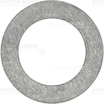 Уплотняющее кольцо 40-71173-00 VICTOR REINZ