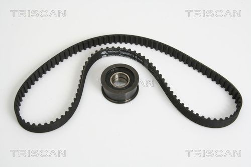 Пружина ходовой части 87501515 TRISCAN