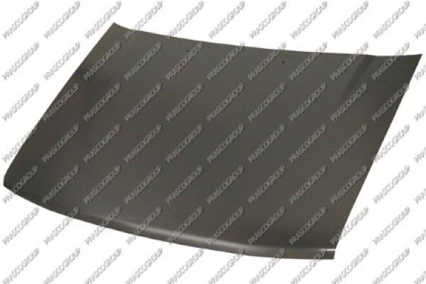 Капот двигателя SB0033100 PRASCO GROUP