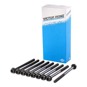 Комплект болтов головки цилидра 14-32207-01 VICTOR REINZ
