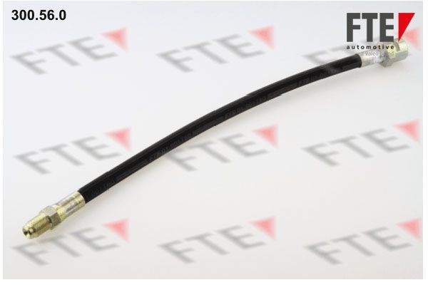 Тормозной шланг 300560 FTE