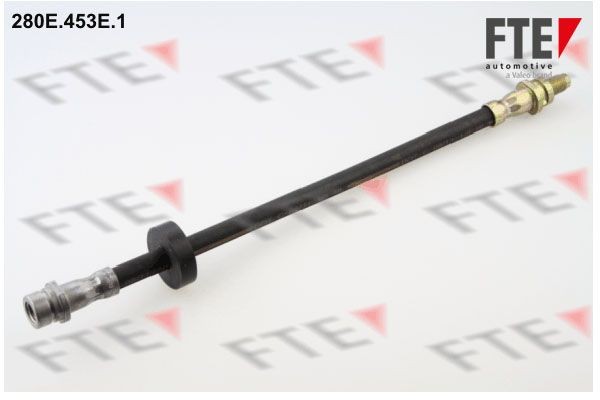 Тормозной шланг 280E.453E.1 FTE