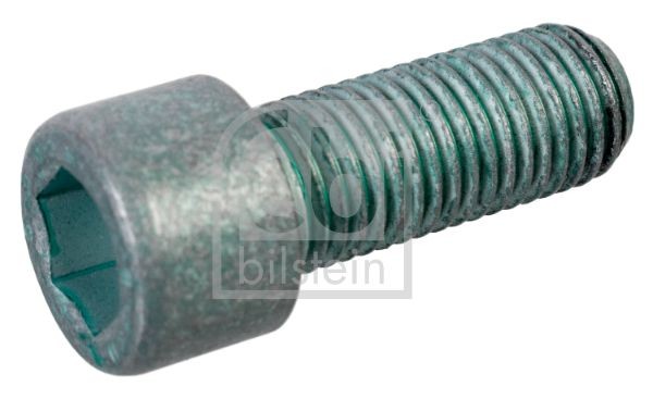 Болт, колпак колеса 01202 FEBI BILSTEIN