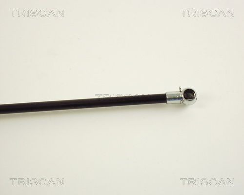 Упругий элемент, крышка багажника / помещения для груза 8710 29227 TRISCAN