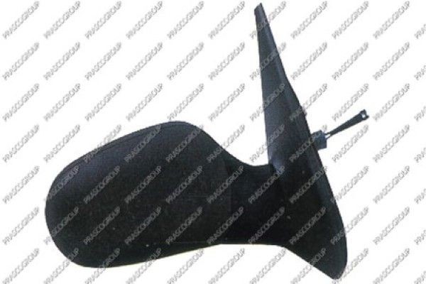 Наружное зеркало RN3207113 PRASCO GROUP