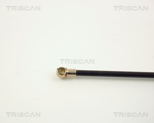 Упругий элемент, крышка багажника / помещения для груза 8710 2902 TRISCAN