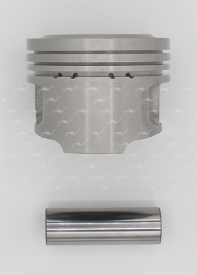 Поршень ДВС PN-54020 AUTOWELT