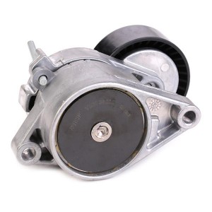 Натяжной ролик, поликлиновой  ремень VKM38202 SKF