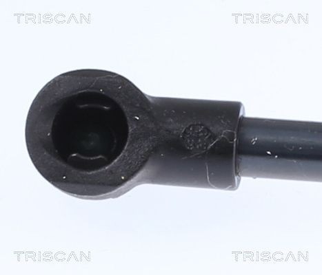 Упругий элемент, крышка багажника / помещения для груза 871015217 TRISCAN