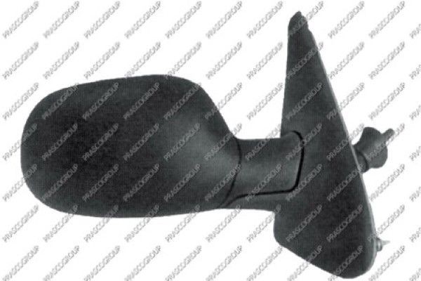 Наружное зеркало RN0267123 PRASCO GROUP