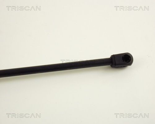 Упругий элемент, крышка багажника / помещения для груза 8710 29213 TRISCAN