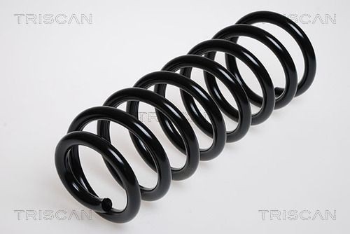 Пружина ходовой части 87502944 TRISCAN