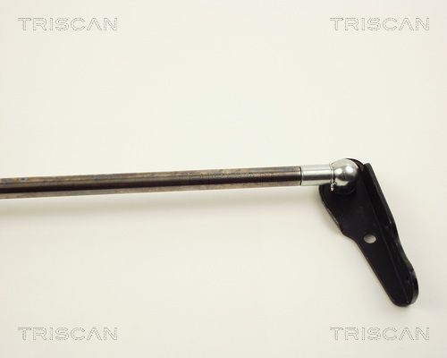 Упругий элемент, крышка багажника / помещения для груза 8710 13232 TRISCAN